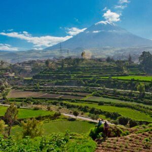 arequipa-campina-300x300