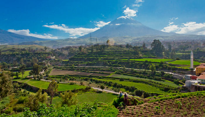 arequipa-campina