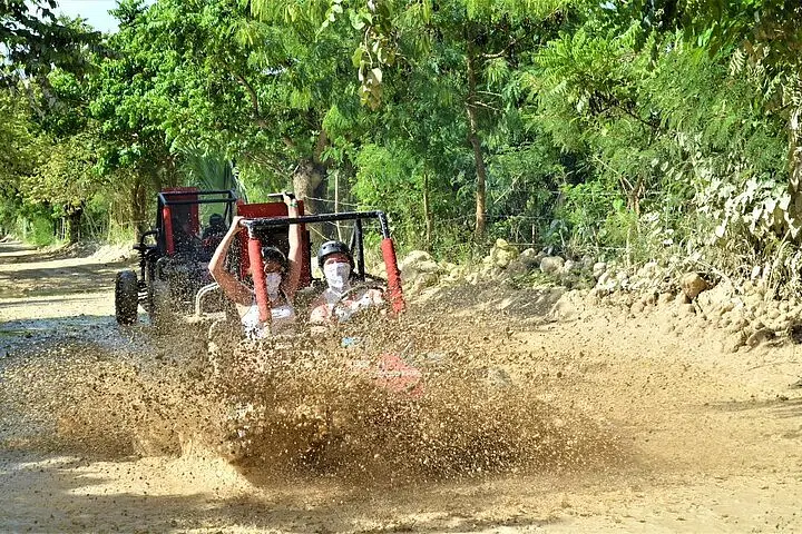 buggy-05