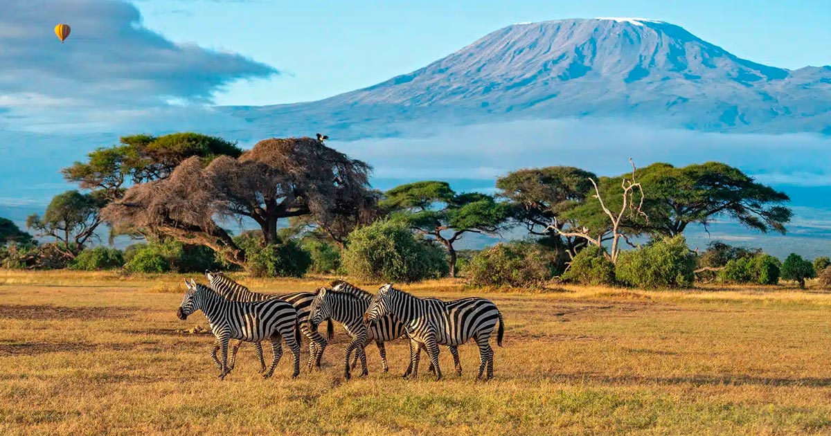 africa-2