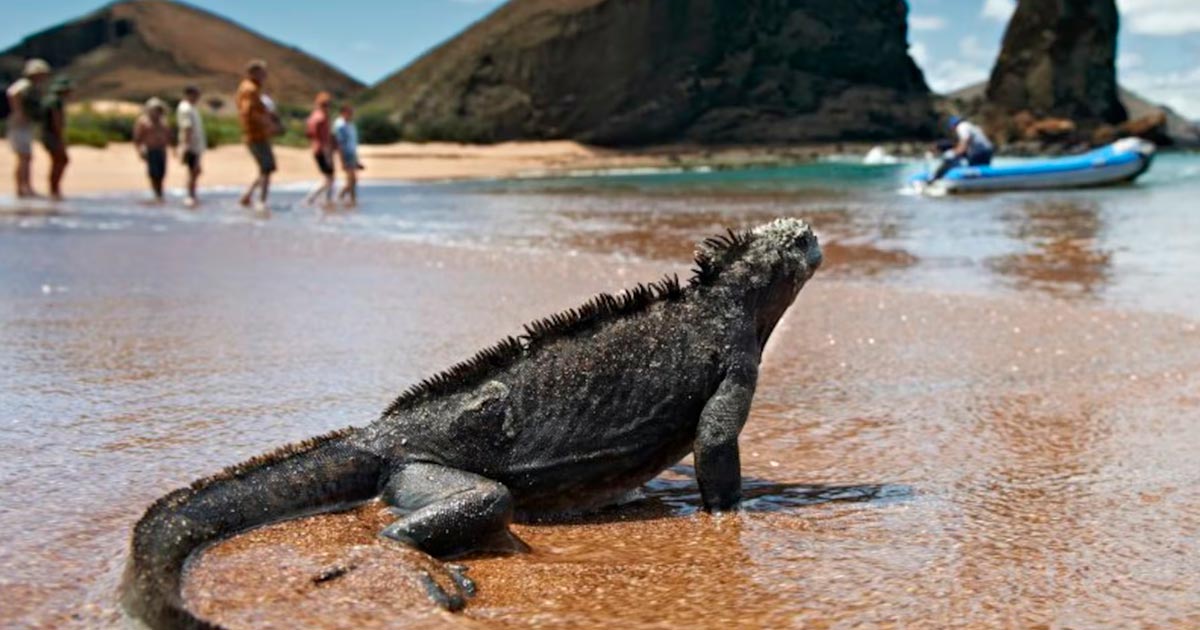 galapagos2