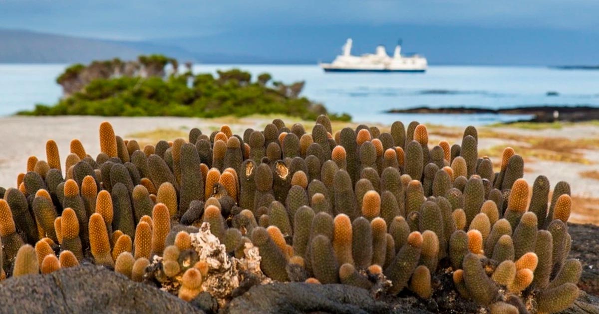 galapagos4