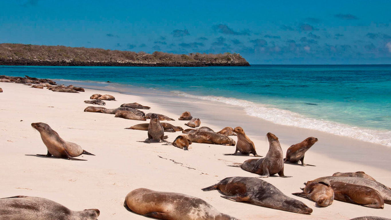 islas-galapagos