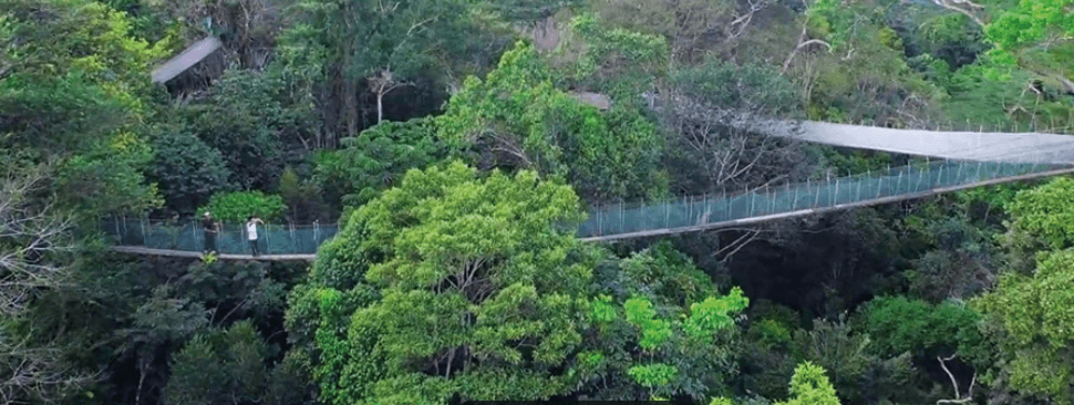 puente-colgante