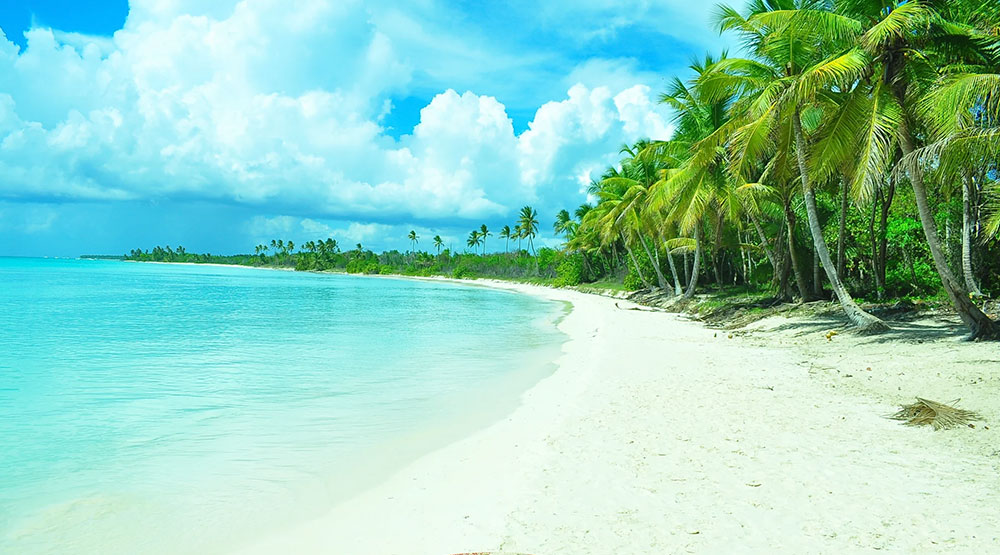 SAONA-2